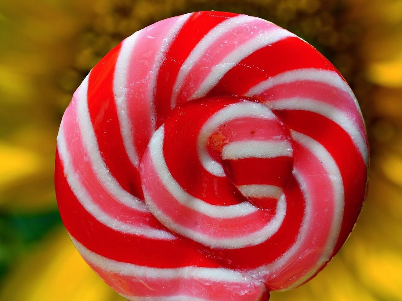 Mini Treats